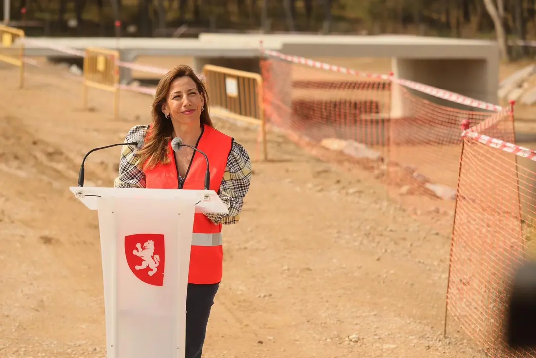 La alcaldesa de Zaragoza, Natalia Chueca, ha visitado la evoluci&oacute;n de los trabajos.