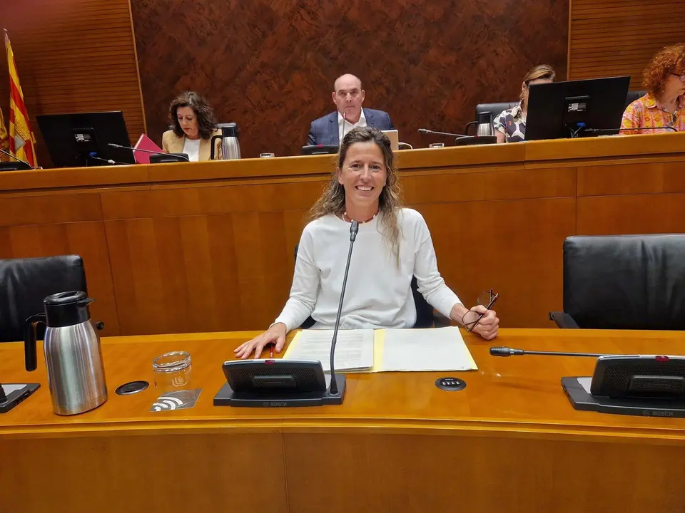 La directora del Instituto Aragon&eacute;s de Ciencias de la Salud, Elena Gonzalvo. - DGA.