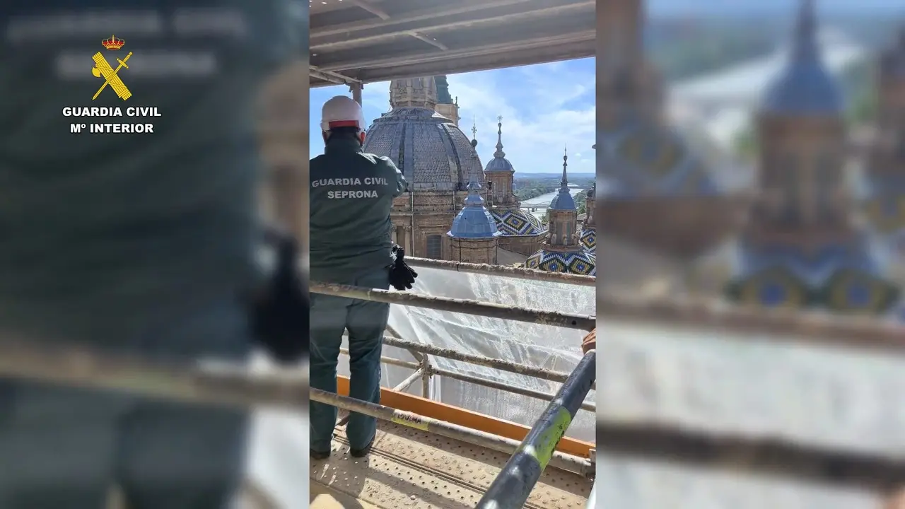 Nido de cern&iacute;calos en una torre del Pilar / V&iacute;a Guardia Civil