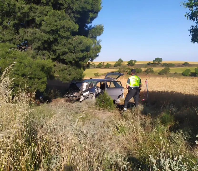 Dos heridos tras chocar contra un &aacute;rbol en la A-23. - GUARDIA CIVIL