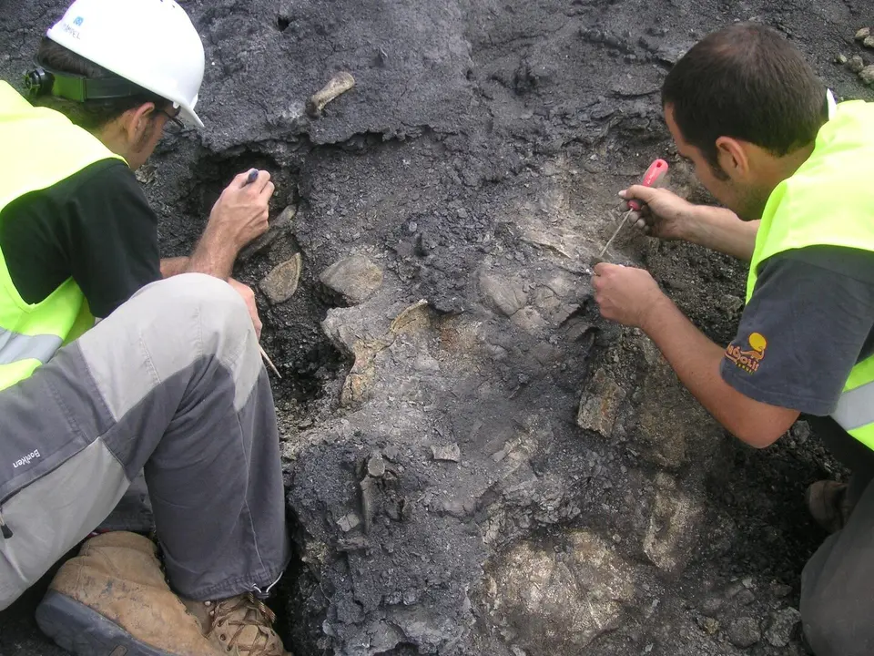 Los restos de la tortuga fueron hallados y excavados en la Mina Santa Mar&iacute;a de Ari&ntilde;o, en el municipio turolense de Ari&ntilde;o (Espa&ntilde;a). /Gobierno de Arag&oacute;n
