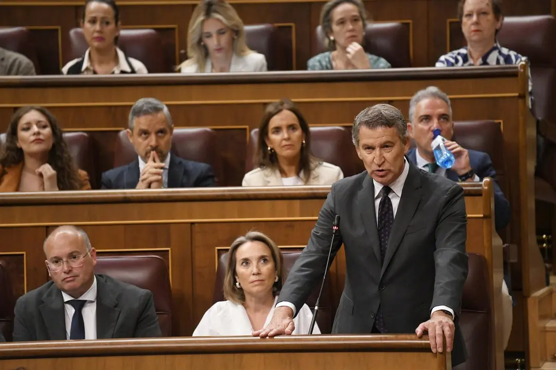 El presidente del Partido Popular, Alberto N&uacute;&ntilde;ez Feij&oacute;o. / EP