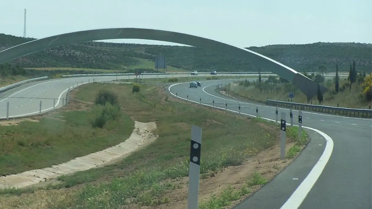El nuevo 'hobbie' de Zaragoza que ha pillado la Guardia Civil