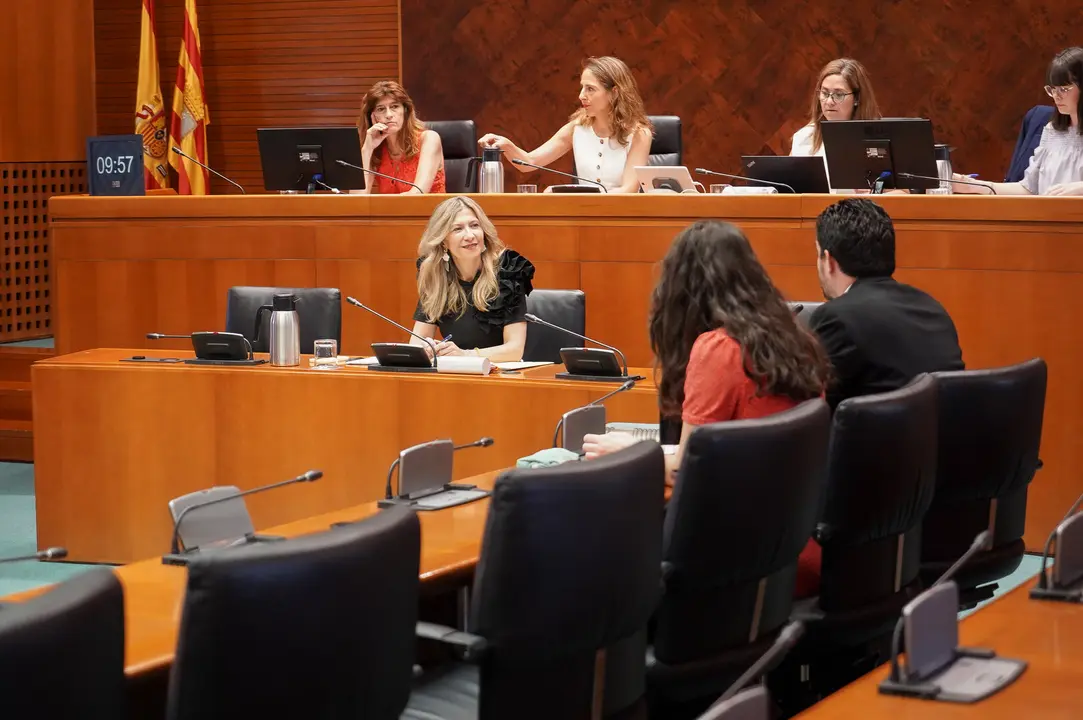 La vicepresidenta del Gobierno de Arag&oacute;n, Mar Vaquero, en las Cortes