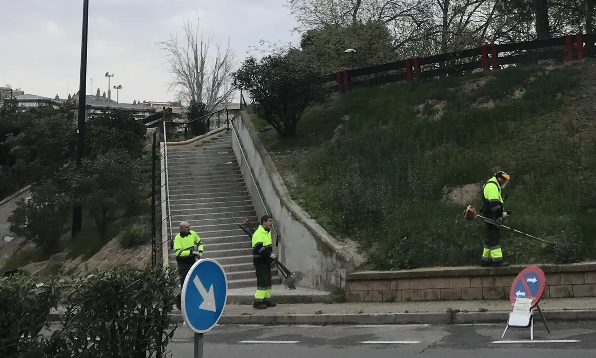 Jardineros podan un zona verde con unas escaleras centrales / EP