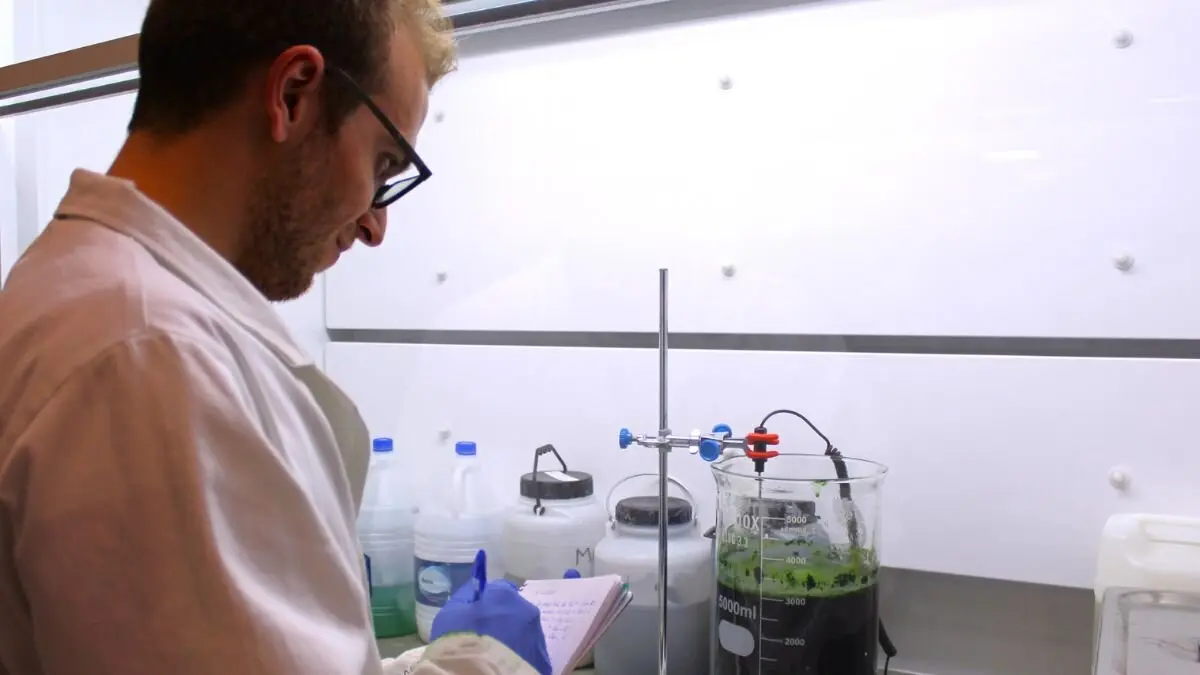 Trabajo de laboratorio en Atria.