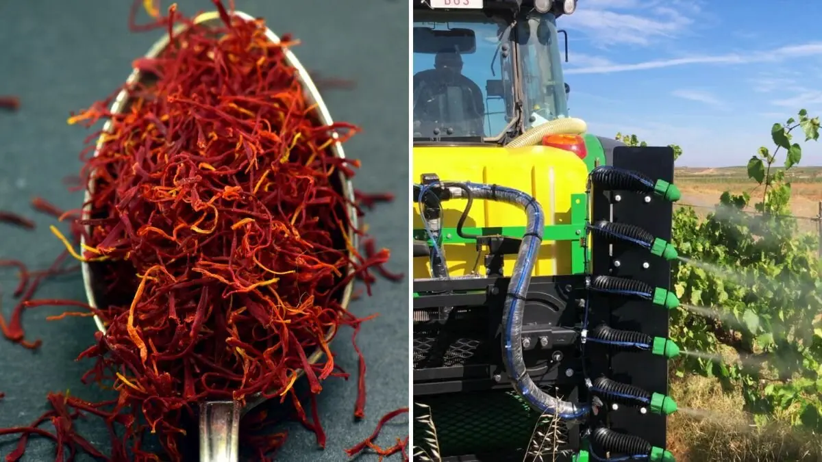 CAMPAG impulsa dos proyectos de innovaci&oacute;n; Azafarm y VITIS