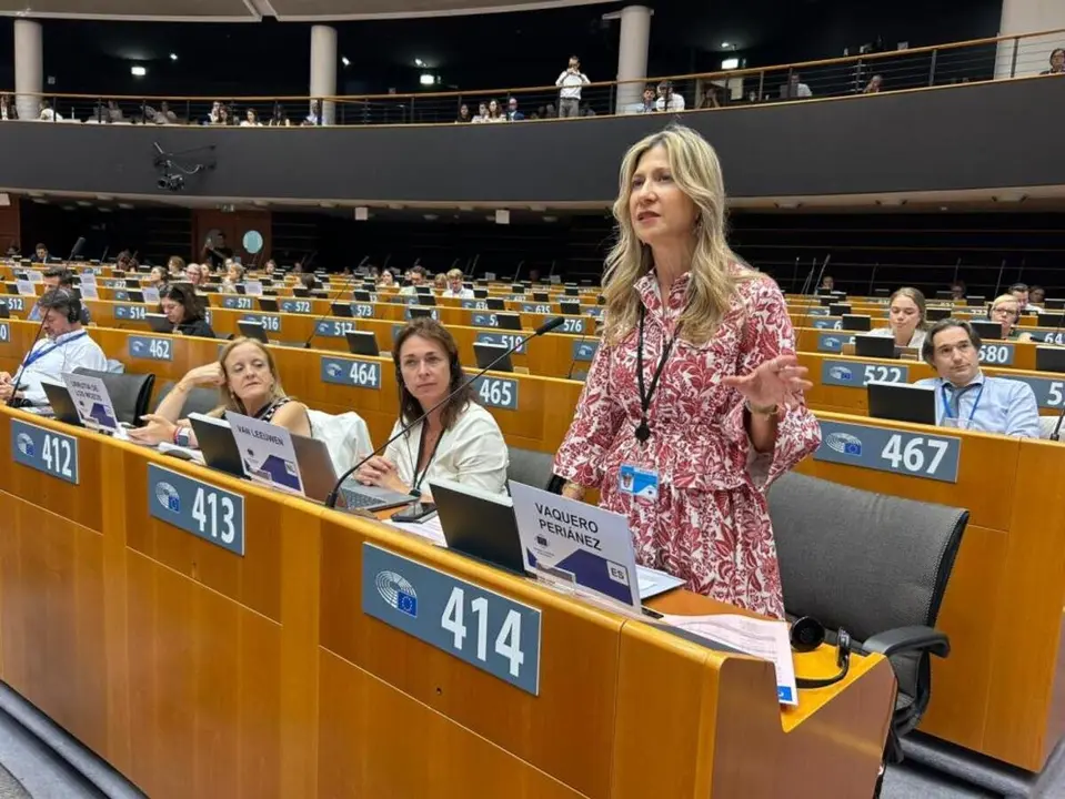 Mar Vaquero durante su intervenci&oacute;n en el pleno del Comit&eacute; de las Regiones ./ DGA