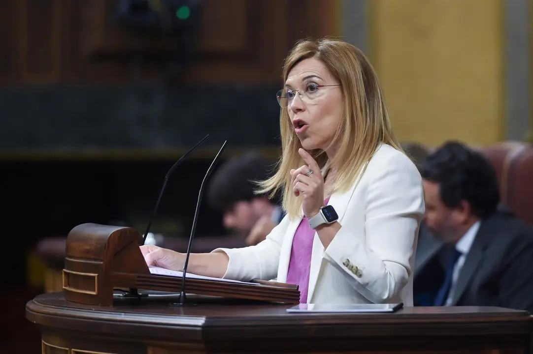 La diputada del PP en el Congreso Ana Al&oacute;s. / EP