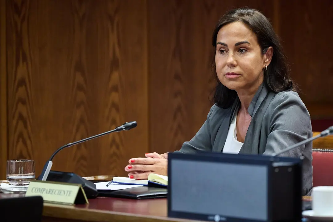 La expresidenta de Adif Isabel Pardo de Vera durante su comparecencia ante la Comisi&oacute;n de Investigaci&oacute;n sobre el &lsquo;caso Koldo&rsquo;, en el Senado. / EP