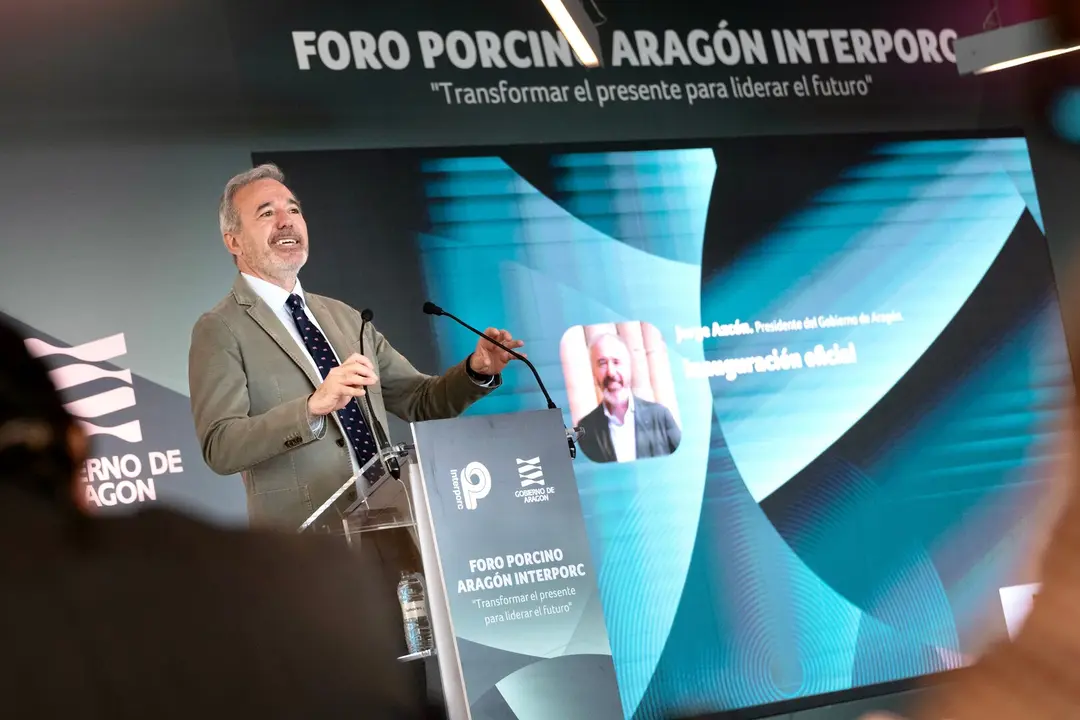 El presidente del Gobierno aragon&eacute;s, Fernando Garea./EP