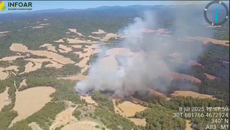 Incendio en Murillo de G&aacute;llego. /Infoar