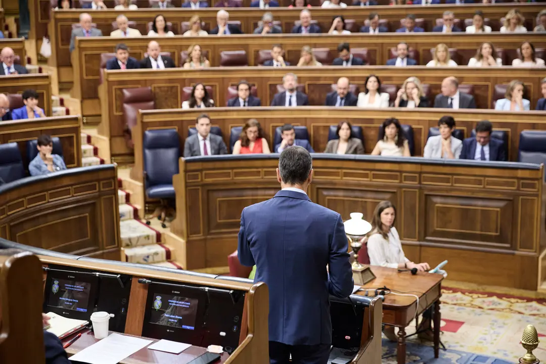 El presidente del Gobierno, Pedro S&aacute;nchez, en el Congreso de los Diputados./EP