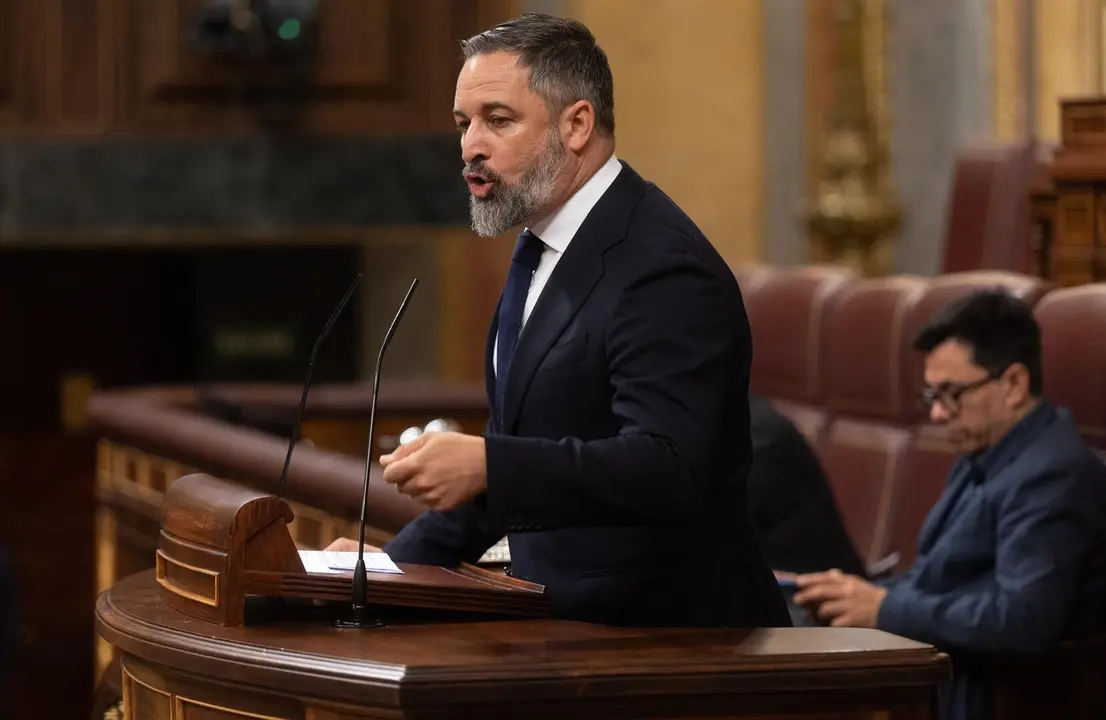 El presidente de VOX, Santiago Abascal. / EP