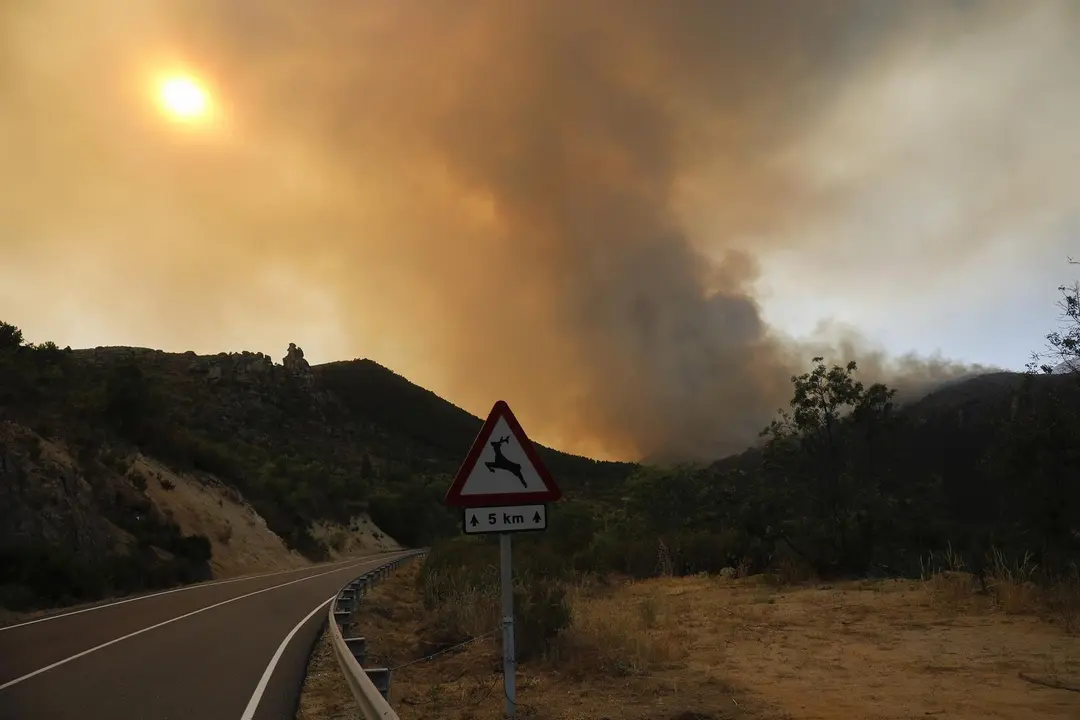 Vista general del incendio en el t&eacute;rmino abulense de Navalacruz, a 16 de agosto de 2021, en &Aacute;vila, Castilla y Le&oacute;n (Espa&ntilde;a). / EP