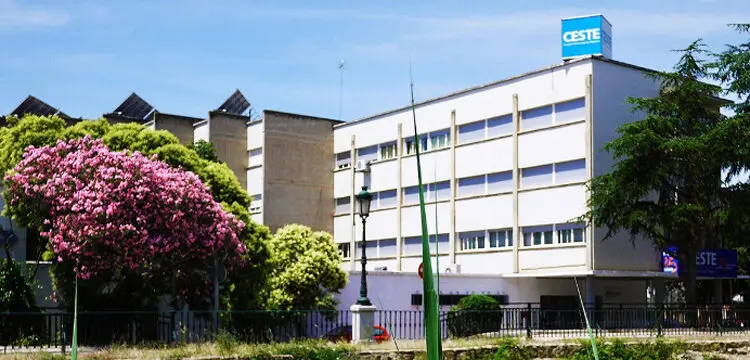 Centro universitario CESTE