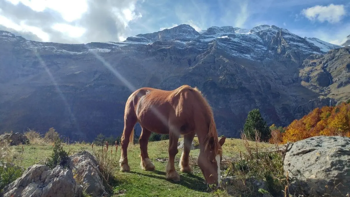 El Valle del Pirineo que pasa desapercibido para muchos turistas / Turismo de Arag&oacute;n