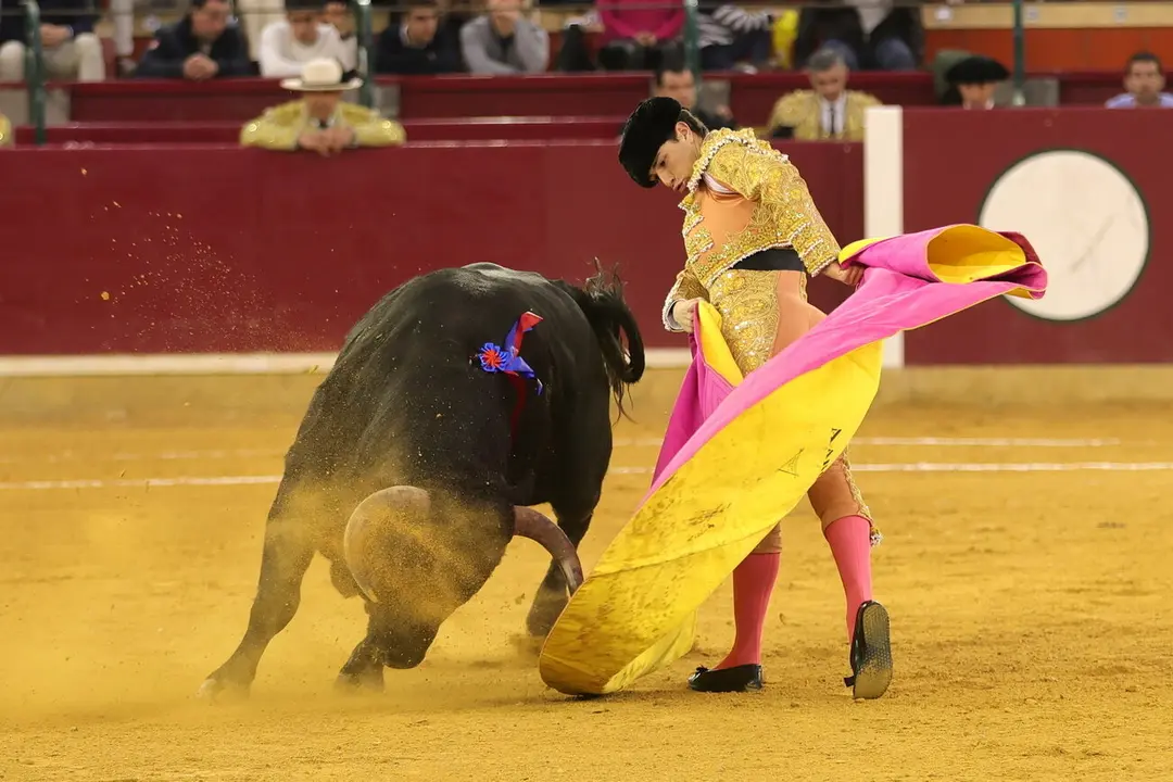 Aar&oacute;n Palacio, en el Coso de La Misericordia