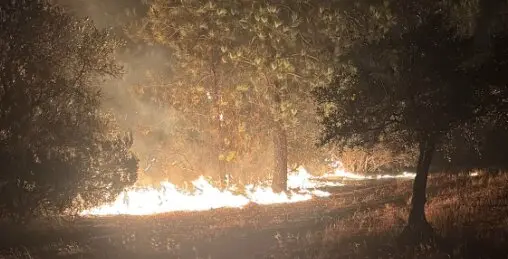 El incendio en la noche del s&aacute;bado. / ATBRIF