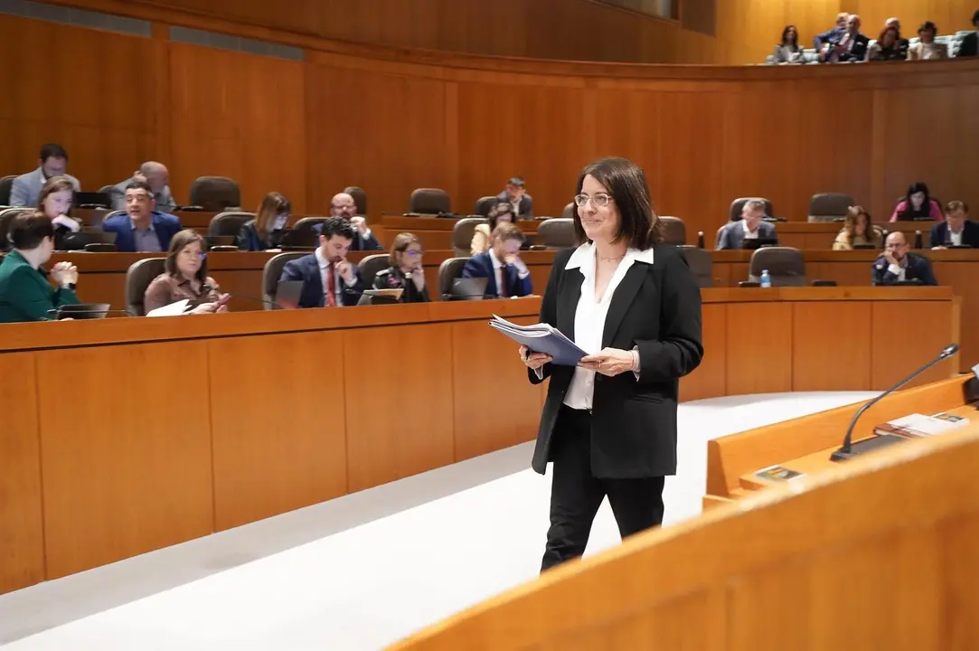 La Justicia de Arag&oacute;n, Concepci&oacute;n Gimeno, en la sesi&oacute;n plenaria de las Cortes auton&oacute;micas. - CORTES DE ARAG&Oacute;N.