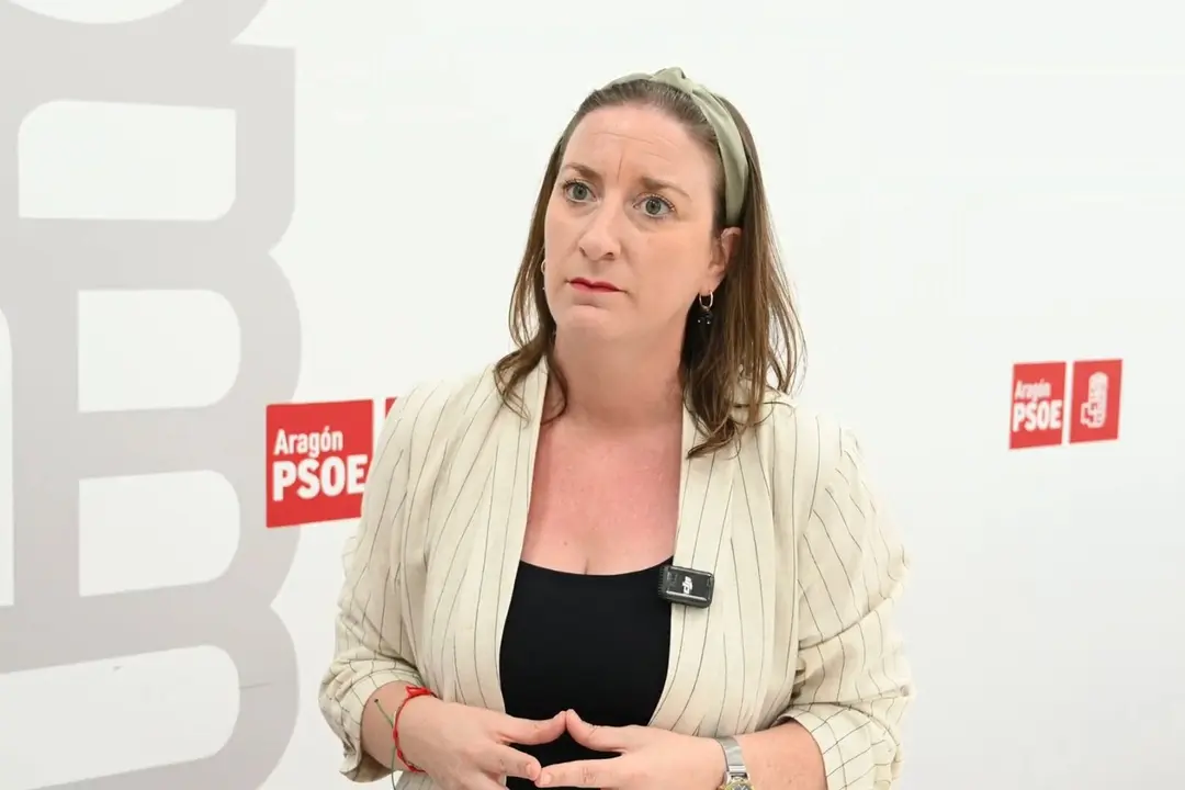 La diputada del PSOE en las Cortes de Arag&oacute;n Mar&iacute;a Rodrigo. / PSOE