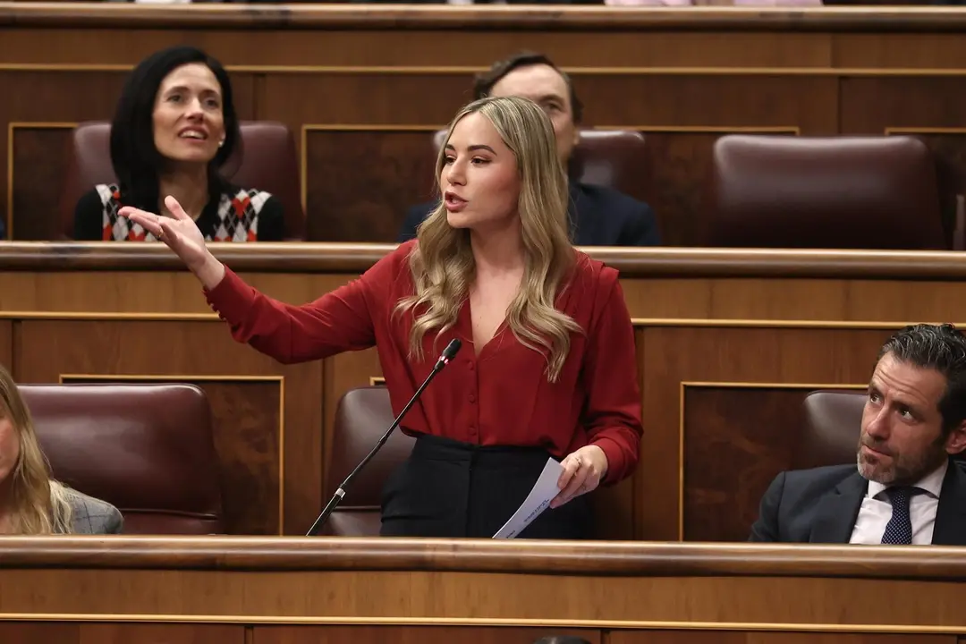 La diputada del PP, Noelia N&uacute;&ntilde;ez, durante un pleno en el Congreso de los Diputados