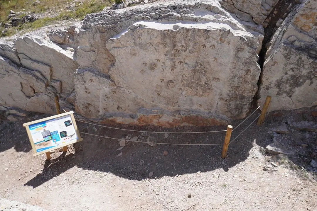 Yacimiento de icnitas en Aguilar de Alfambra. - FUNDACI&Oacute;N DIN&Oacute;POLIS