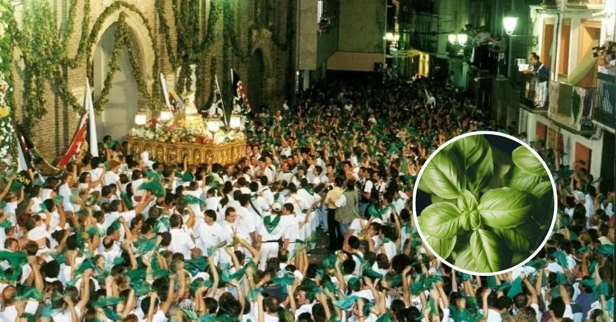 albahaca-fiestas-huesca-san-lorenzo