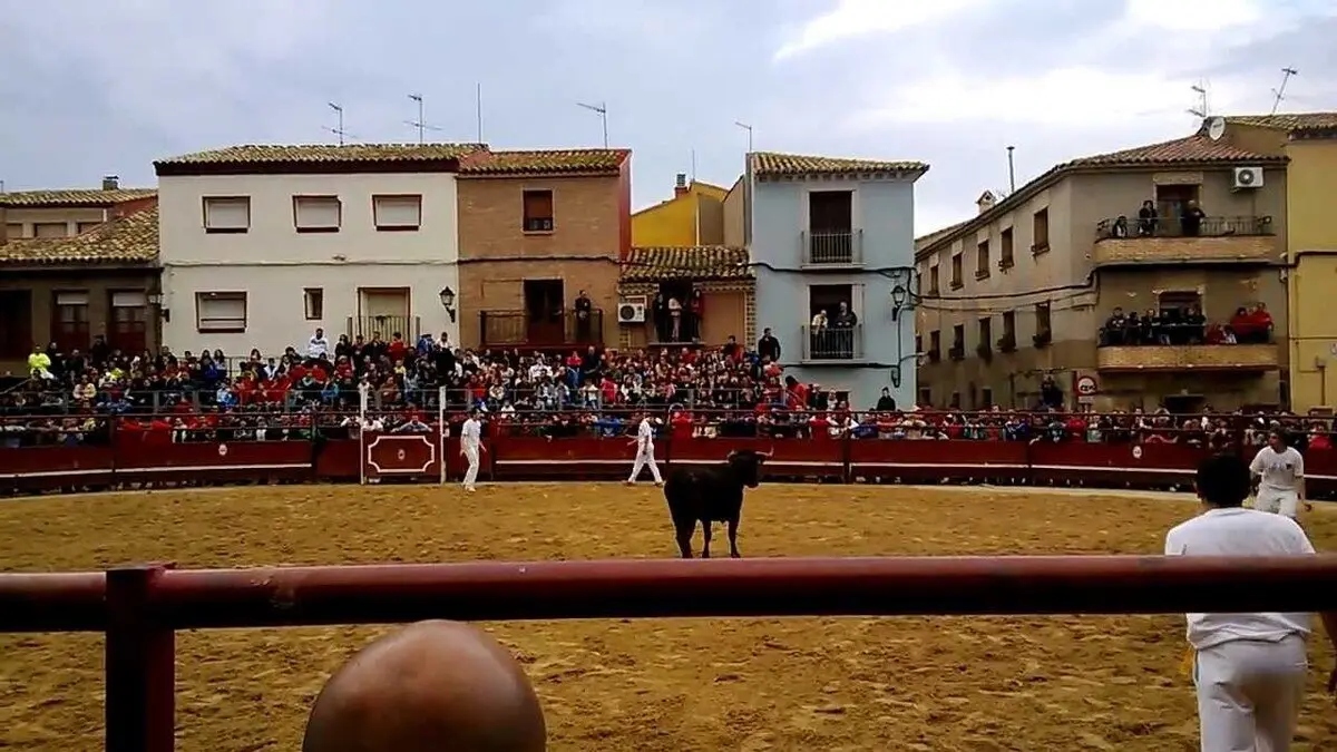Recortadores en las fiestas de Pinseque