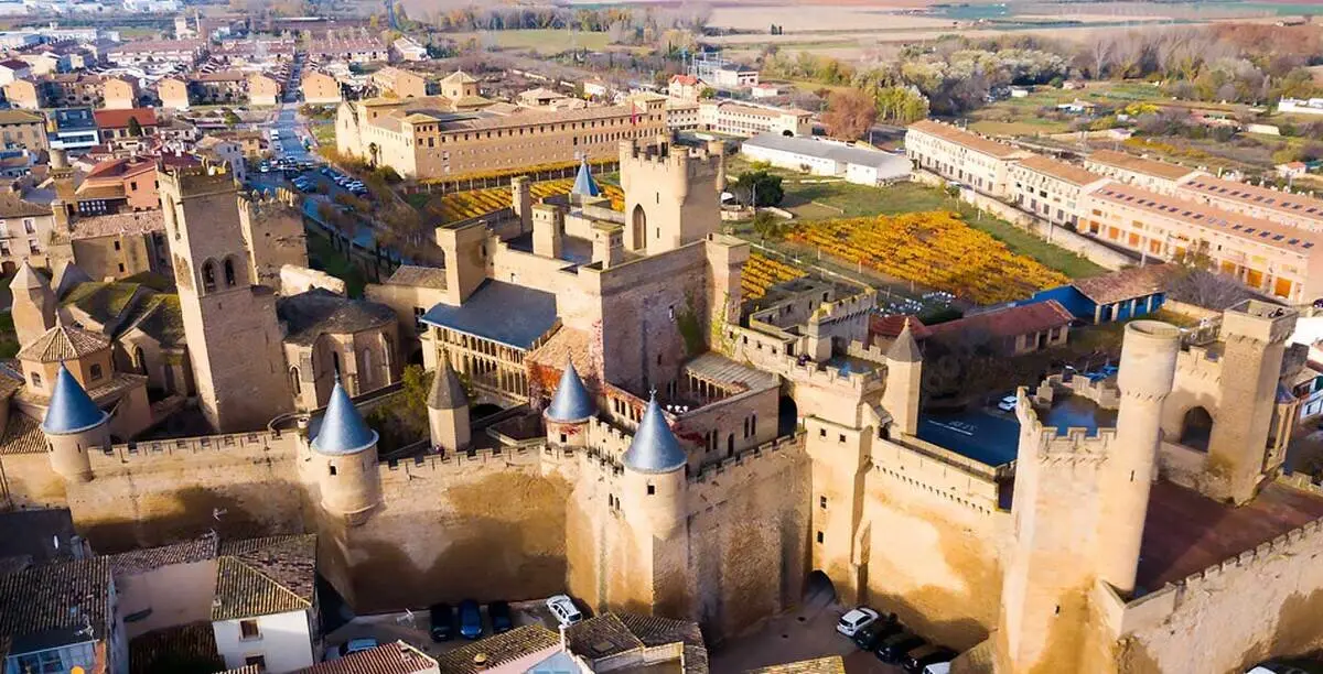 Castillo de Olite