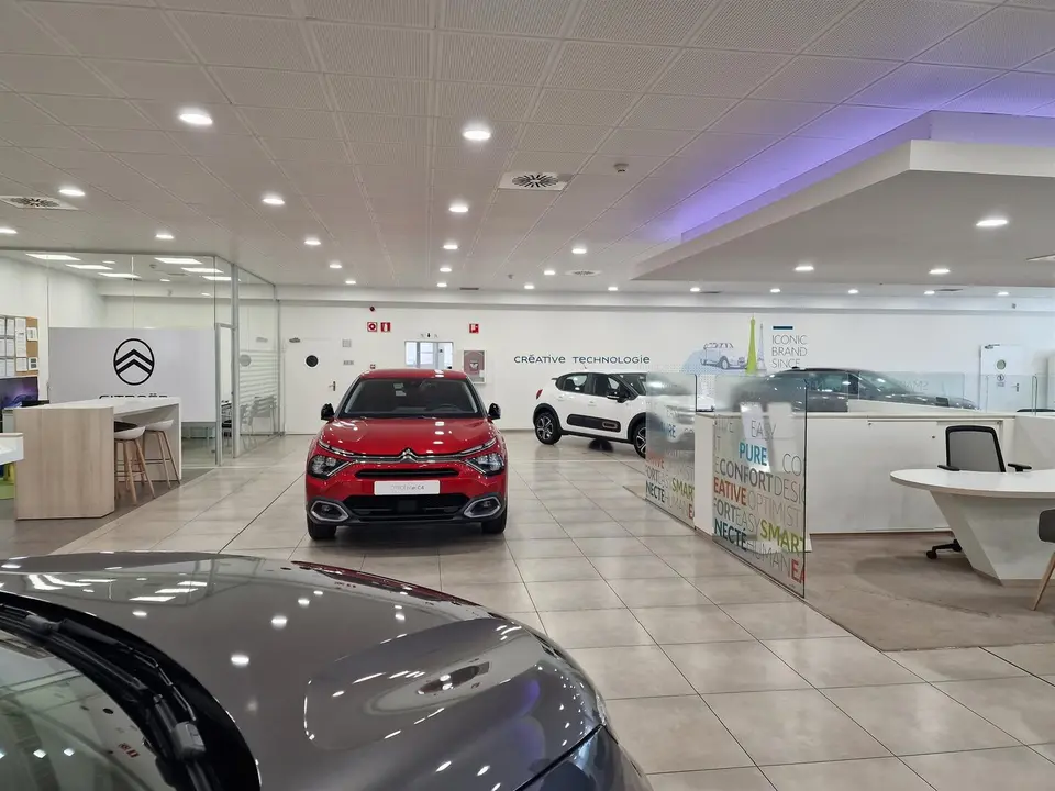 Concesionario de coches