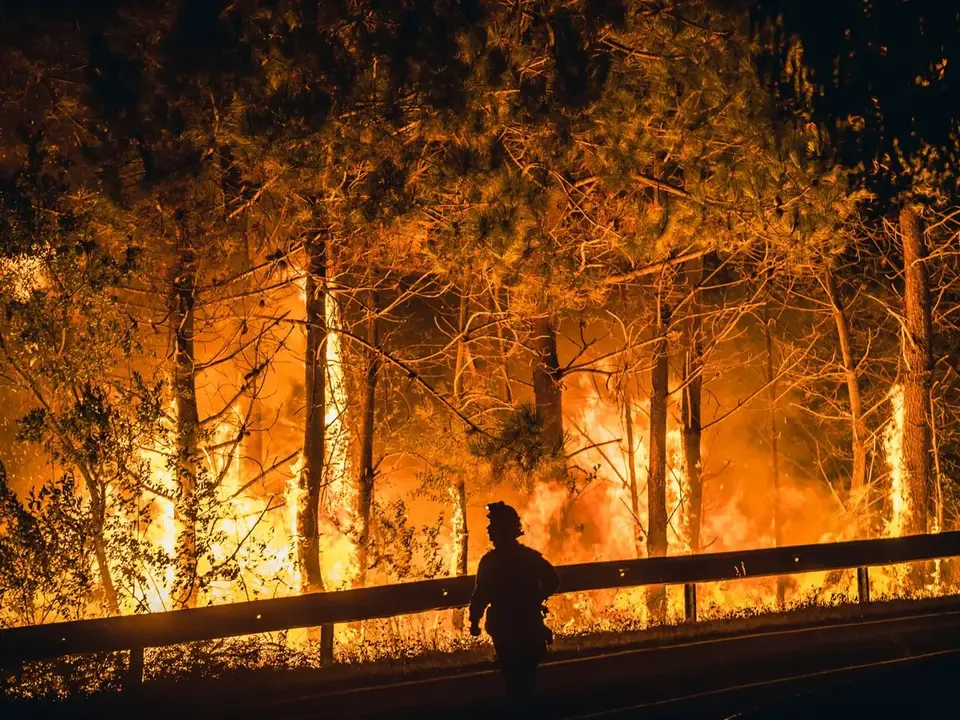 M&aacute;s del 80% de los incendios en Espa&ntilde;a han sido provocados por el hombre en 2025