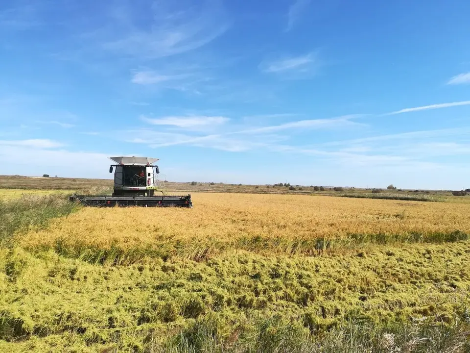 Arag&oacute;n cubrir&aacute; hasta el 70% del coste de los seguros agrarios para agricultores y ganaderos