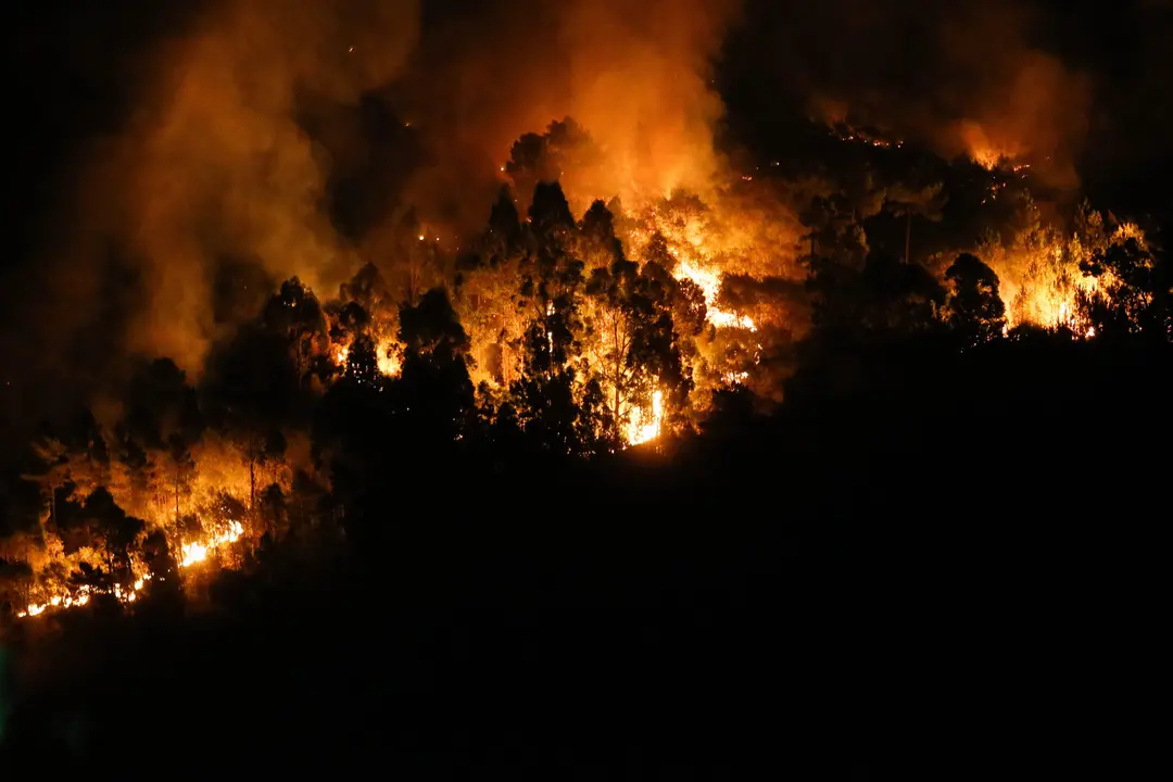 Un gran incendio en Quiroga, Lugo / EP