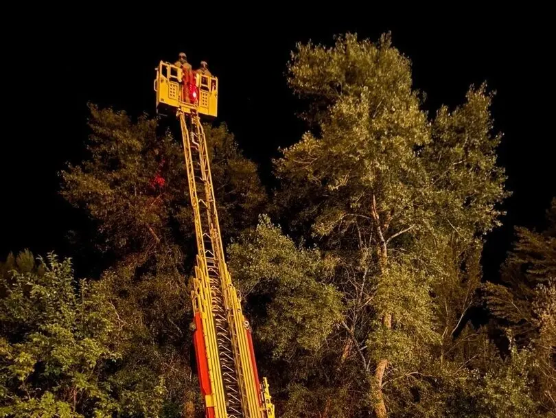 Bomberos de la Diputaci&oacute;n de Teruel retiran un nido de avispa asi&aacute;tica en Alca&ntilde;iz
- DIPUTACI&Oacute;N DE TERUEL