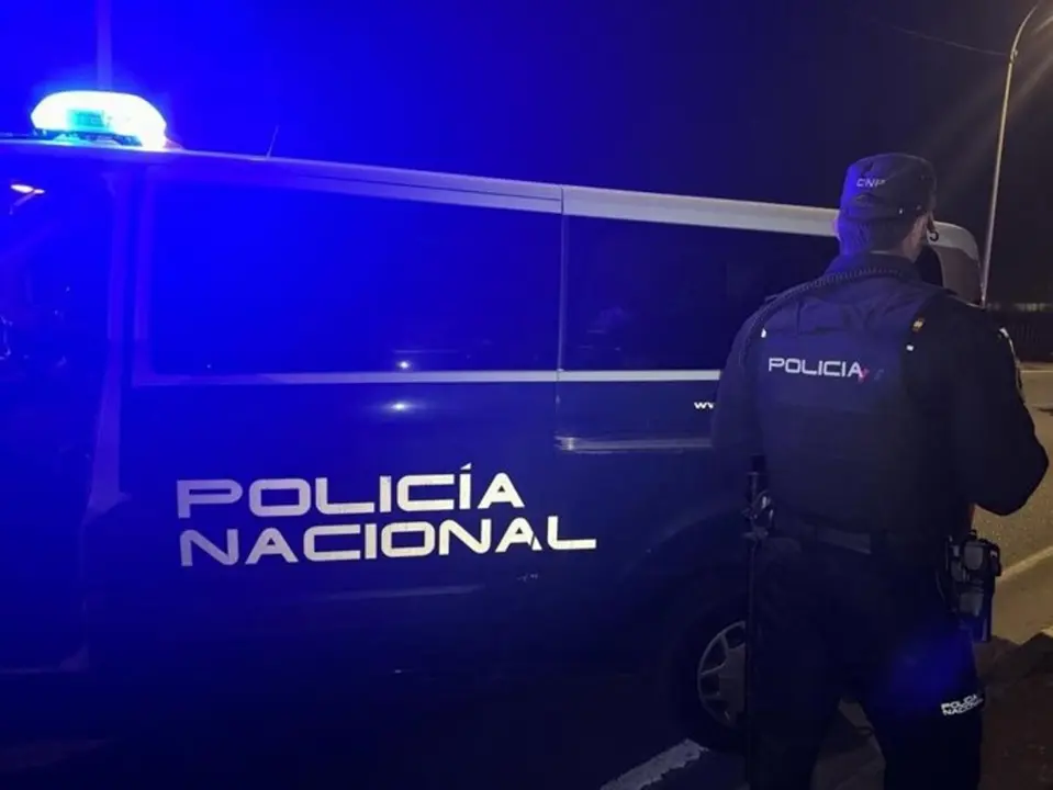 La Polic&iacute;a Nacional detiene a dos personas tras varios robos en Las Delicias