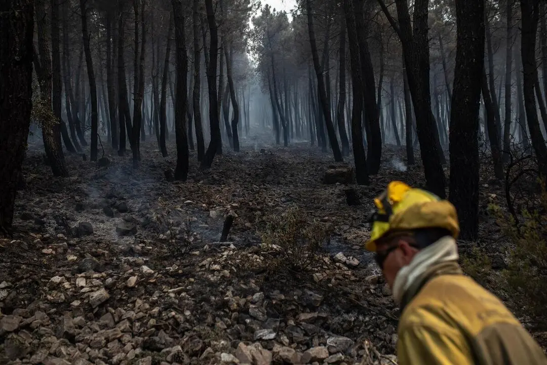 Archivo - Un bombero trabaja en la extinci&oacute;n del incendio en la Sierra Culebra , a 16 de junio de 2022, en Zamora, Castilla y Le&oacute;n, (Espa&ntilde;a).
- Emilio Fraile - Europa Press - Archivo
