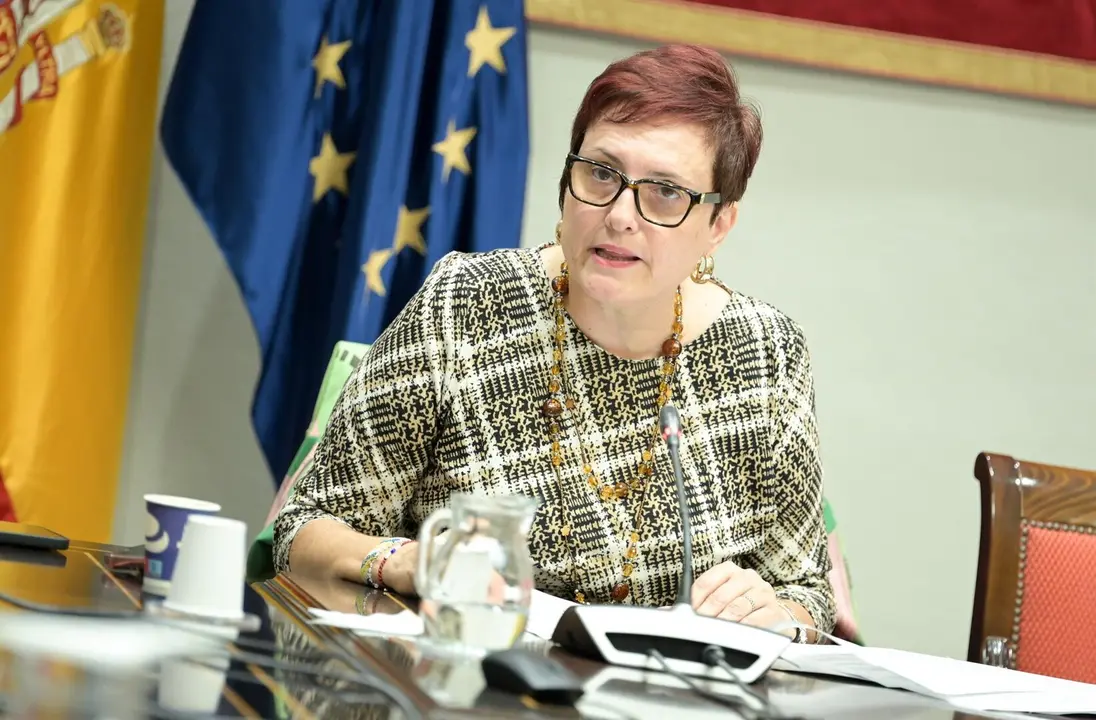 La consejera de Bienestar Social del Gobierno de Canarias, Candelaria Delgado. / GOBIERNO DE CANARIAS