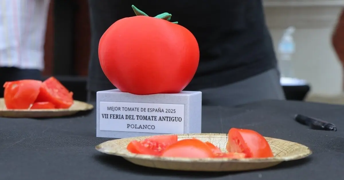 receta-mejor-tomate-espa&ntilde;a-sana