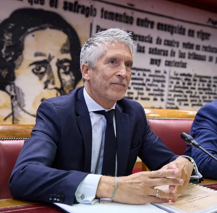 El ministro del Interio, Fernando Grande Marlaska, en el Senado./ EP