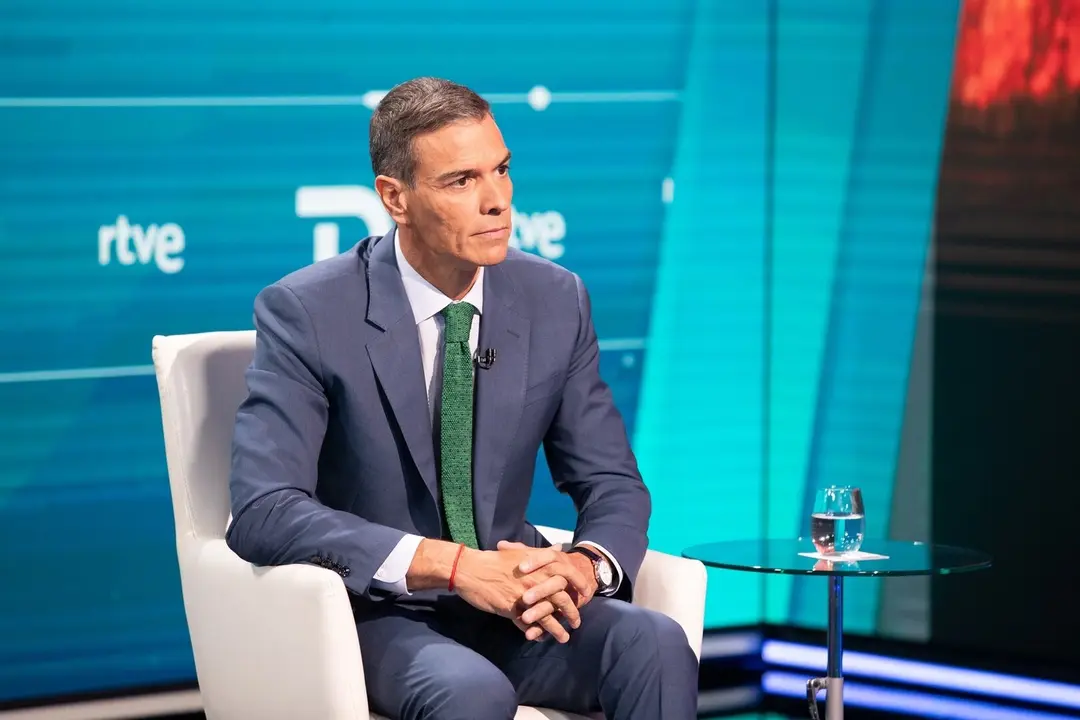 El presidente del Gobierno, Pedro S&aacute;nchez, en una entrevista para TVE./ EP