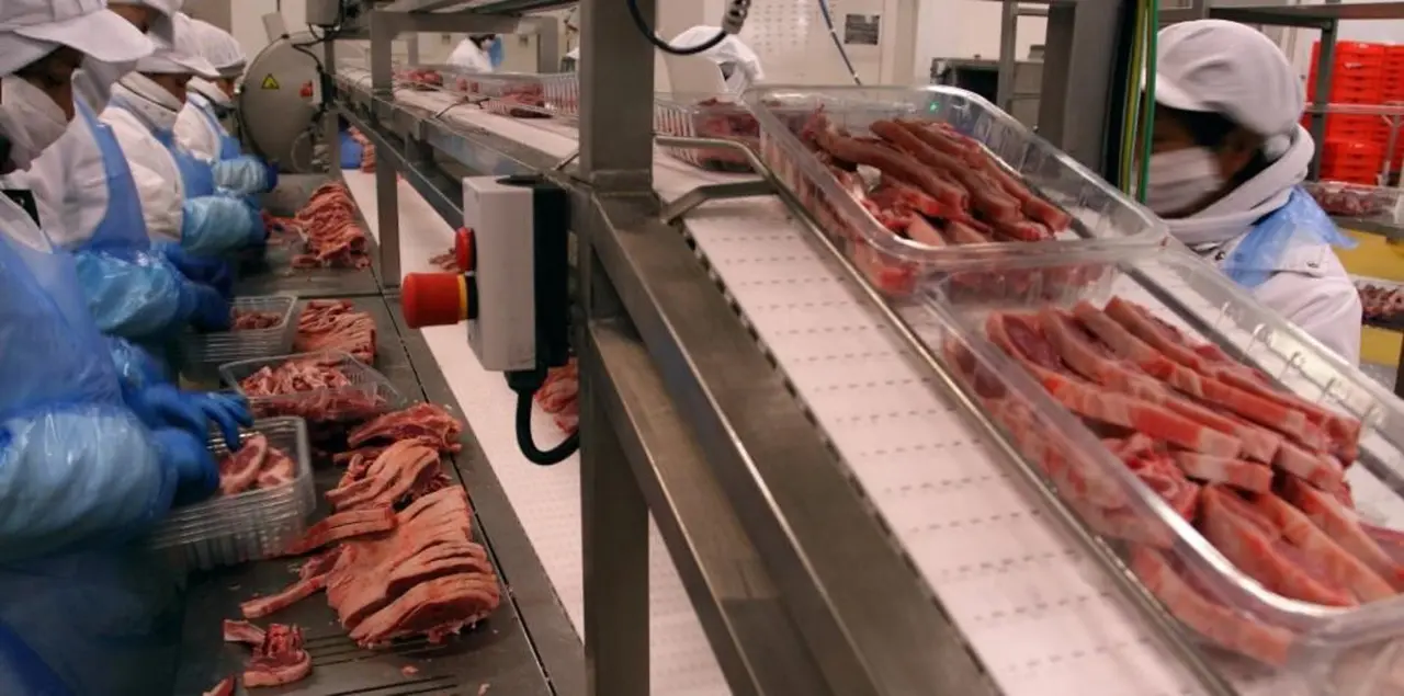 El Departamento de Agricultura, Ganader&iacute;a y Alimentaci&oacute;n sigue apostando de manera decidida en su apoyo a la industria agroalimentaria, a la que va a destinar m&aacute;s de 18.5 millones de euros en ayudas. / EP