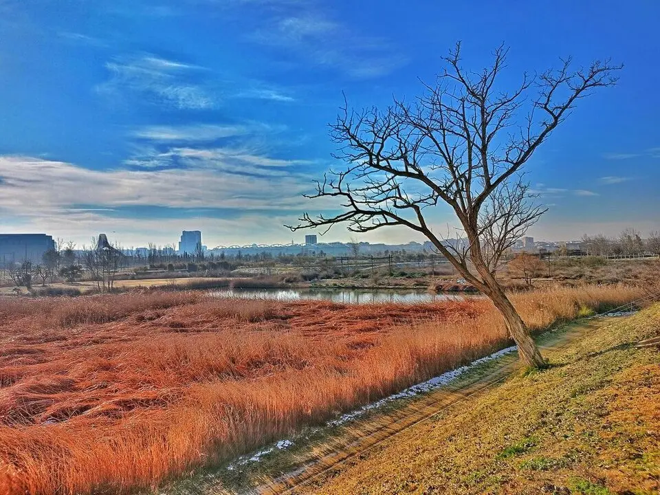 El Abrazo al Ebro: la ruta que une Zaragoza con la naturaleza sin salir de la ciudad