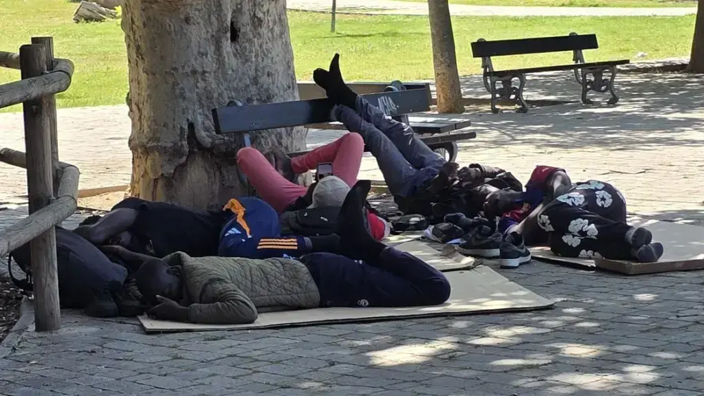 Estado actual del Parque Bruil de Zaragoza / HOY ARAG&Oacute;N