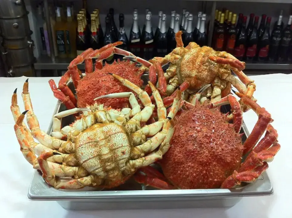 Marisquer&iacute;a El Cant&aacute;brico
