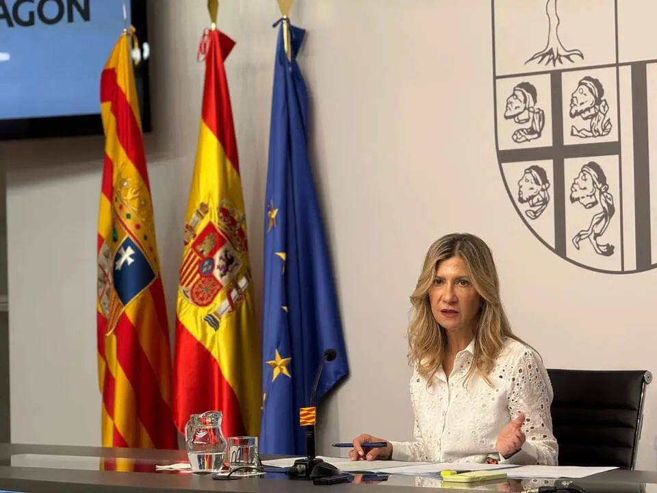 Mar Vaquero, viceprepresidenta del Gobierno de Arag&oacute;n, en las Cortes./ DGA