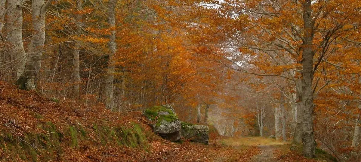 Parque Natural del Moncayo