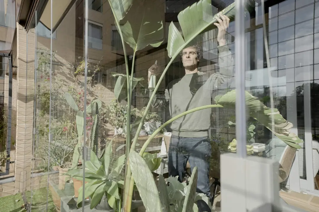 Consejos para decorar con plantas la terraza