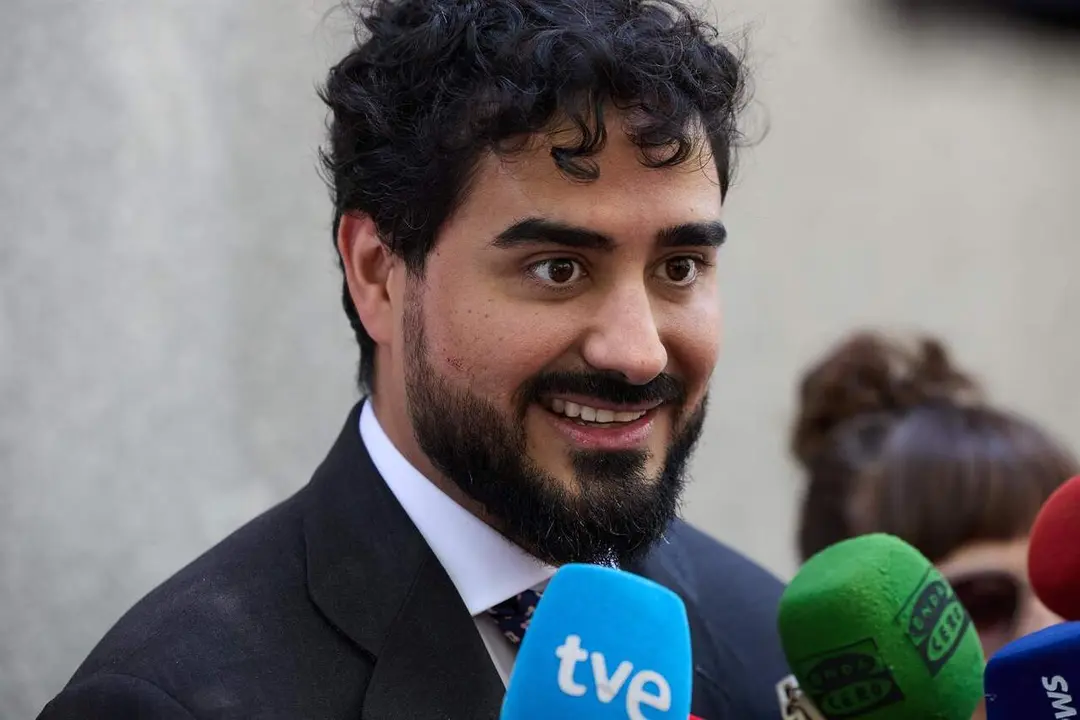 El l&iacute;der de Se Acab&oacute; La Fiesta (SALF) y eurodiputado, Luis 'Alvise' P&eacute;rez. / EP