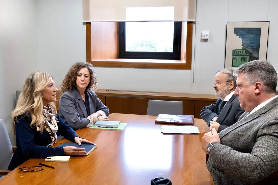 La vicepresdenta del Gobierno de Arag&oacute;n, Mar Vaquero, se re&uacute;ne con las principales asociaciones de aut&oacute;noms./ FS